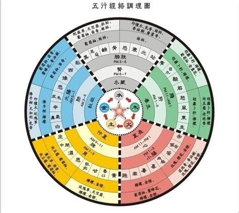 五術是什麼|五術:五術簡介,五術之山,五術之醫,五術之命,五術之相,。